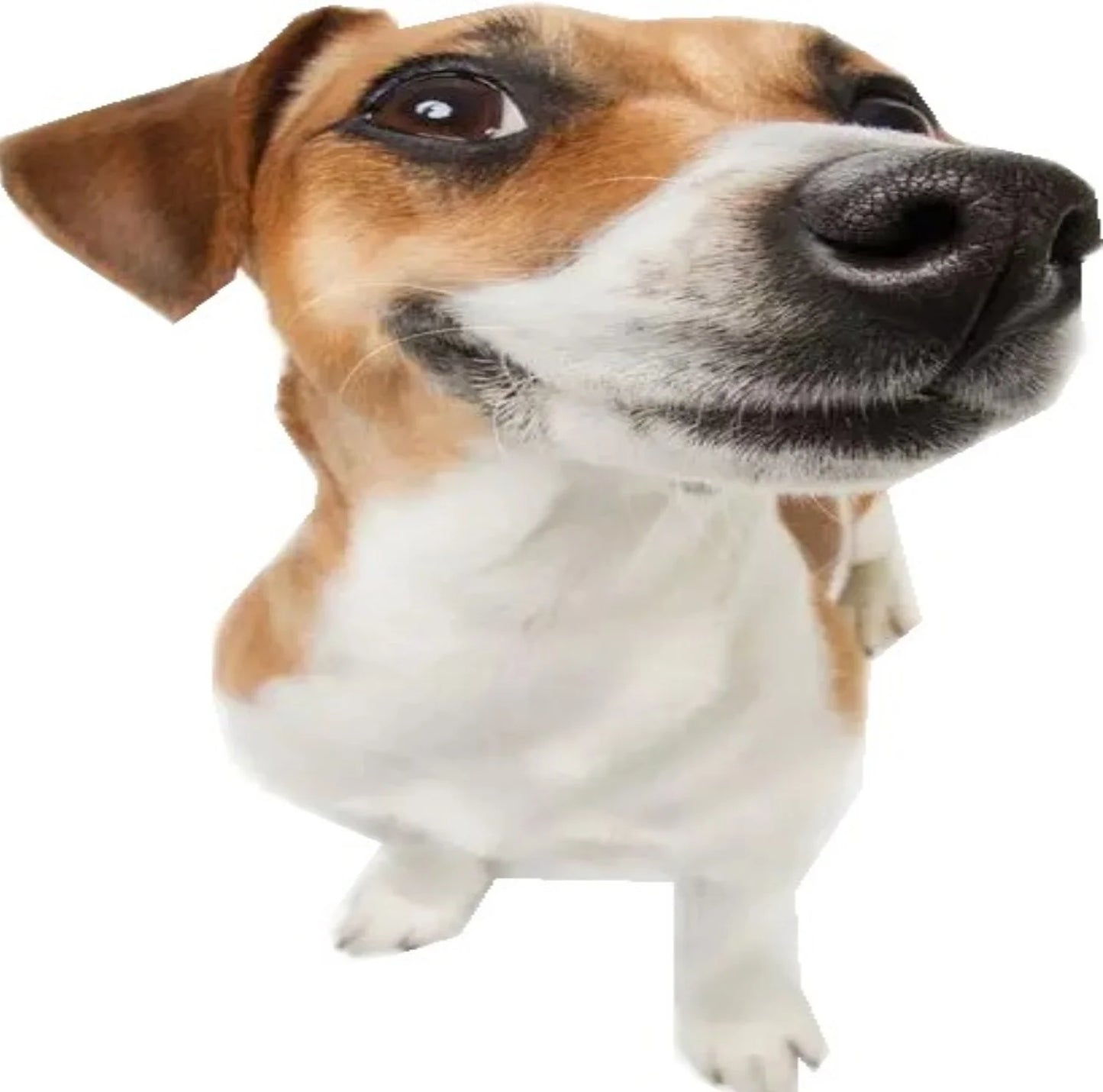 Neck and Face Firming Massage Kit - Double Chin Reducer Vibration Massager for Smooth, Youthful Skin