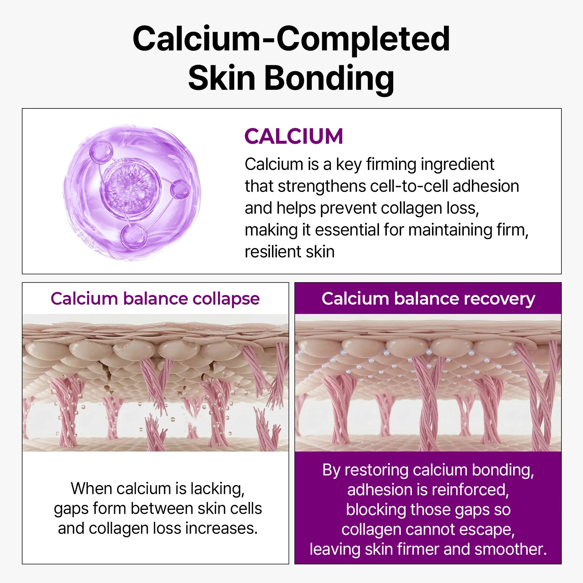 Revitalize Your Skin with Dr.Melaxin's Calcium Bonding Serum & Cream Duo - Achieve Firmness and Elasticity with the Power of Calcium, Collagen & REBORNIC!